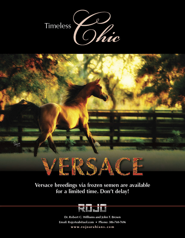 140321 Rojo Versace FrozenSemen