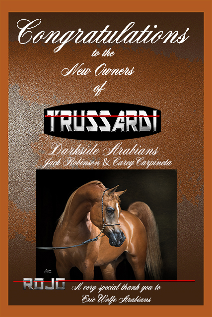 Trussardi Sale2